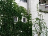 260407-513.jpg