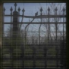 290407-56.jpg