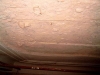 120507-41.jpg