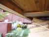 120507-60.jpg