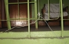 130507-5.jpg