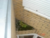 210507-31.jpg