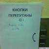 blatter-60.jpg