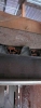 n154.jpg