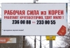 n155.jpg