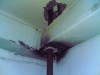 n19.jpg