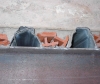 n200.jpg