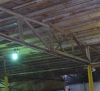 n78.jpg