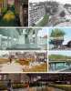 high-line-park-new-york.jpg