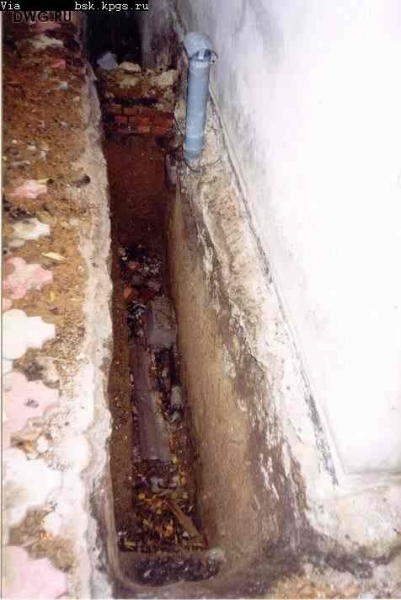 dwg-242.jpg