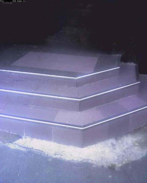 dwg-312.jpg