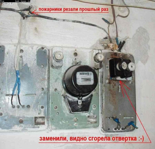 dwg-379.jpg