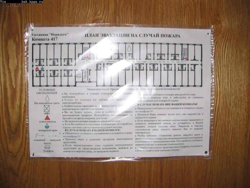 dwg-393.jpg
