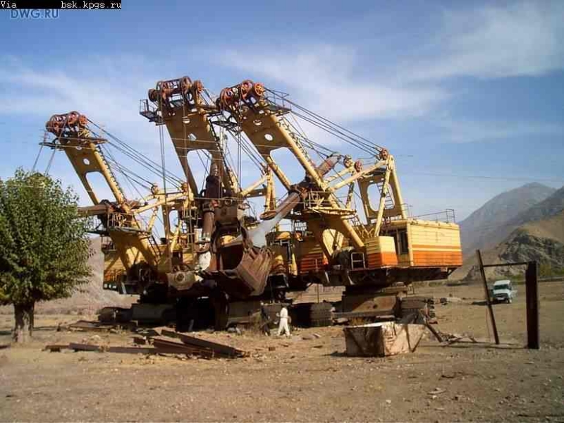 dwg-442.JPG