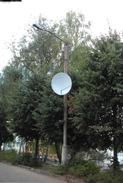 dwg-443.jpg