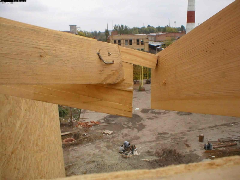 dwg-551.JPG