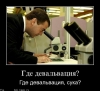 humor09-860.jpg