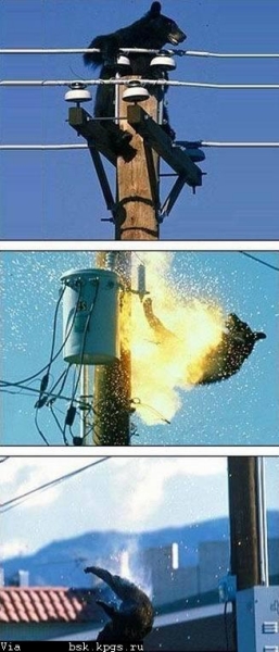 humor09-4.jpg