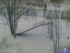 att623575_23406.jpg