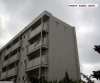 att623575_24061.jpg