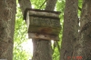 att623575_24375.jpg