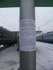 att623575_24474.jpg