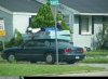 att623575_24483.jpg