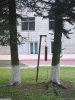 att623575_24485.jpg