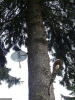 att623575_24486.jpg