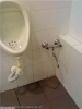 att623575_24661.jpg