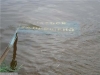 att623575_24669.jpg