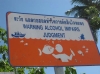 att623575_24755.jpg