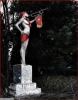 att623575_24770.jpg