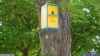 att623575_24987.jpg