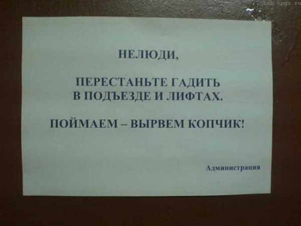 1010vm4.jpg