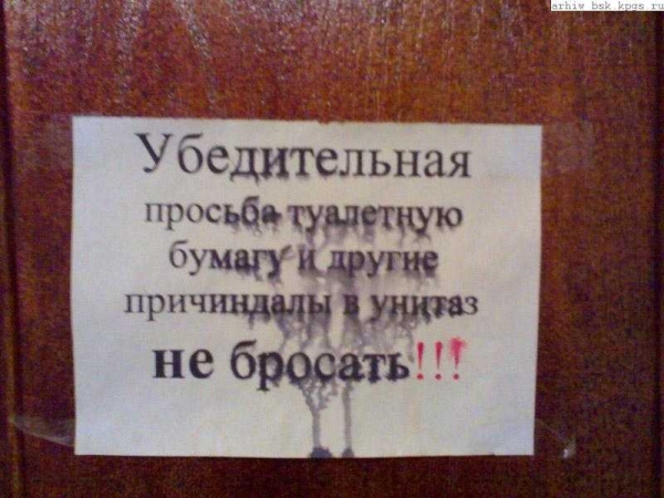 wc53.jpg