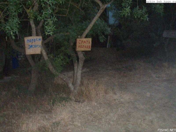 wc74.jpg