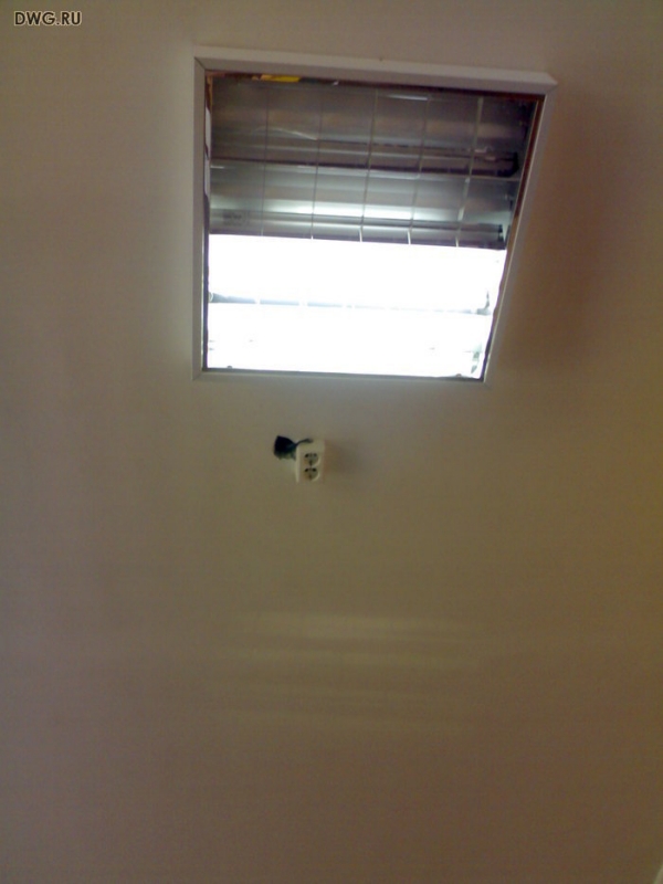 arx1409-919.jpg