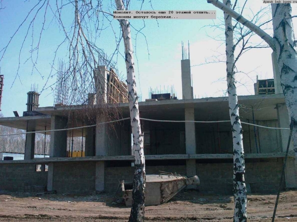 att672983_30367.jpg