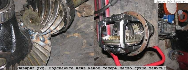 gm3_557.jpg