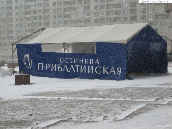 gm3_630.jpg
