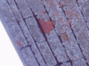 name-165.jpg