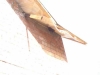 name-323.jpg