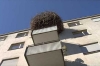 name-581.jpg