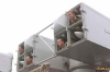 name-955.jpg